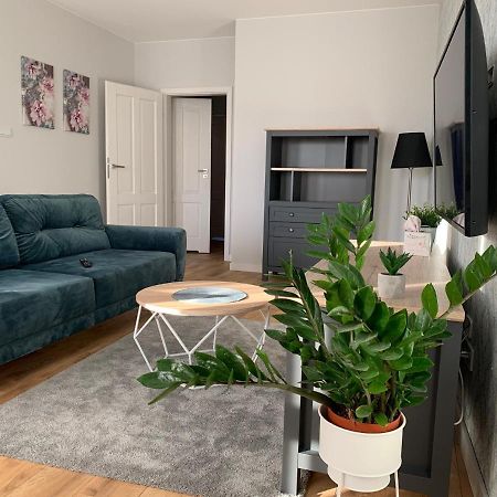 Apartament W Centrum 지엘로나구라 외부 사진